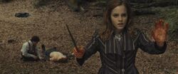 Hermione casting protective enchantments