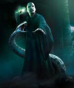 Voldemort et Nagini