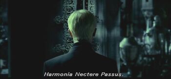 Harmonia Nectere Passus