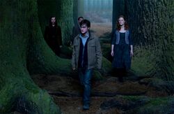 Harry's loved ones resurrected in the forest