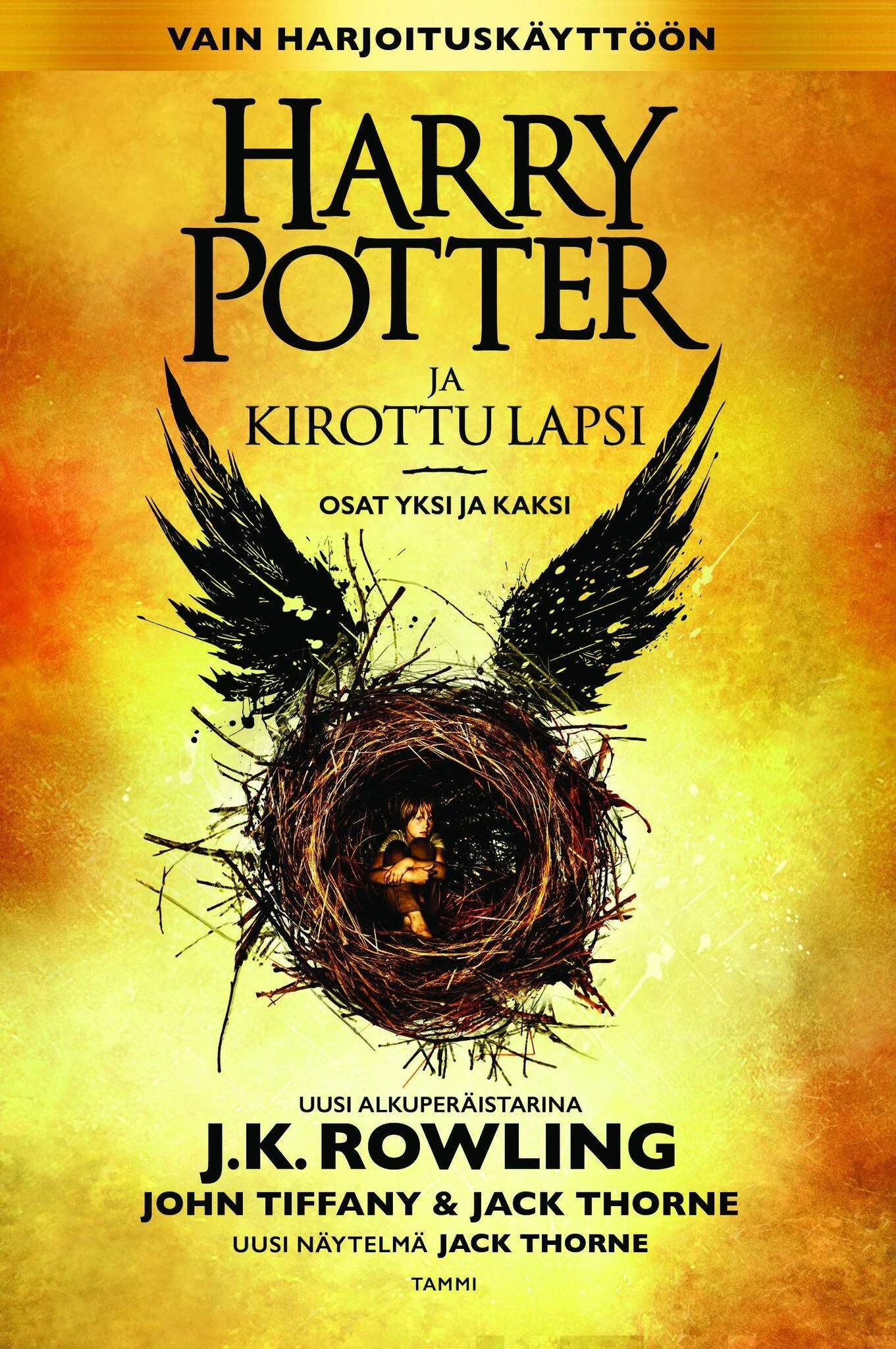 Kirottu lapsi-kansi