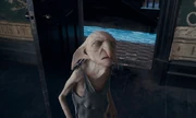 Kreacher missgelaunt