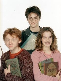 Third year Harry Potter Wiki Fandom