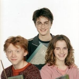 Trio Harry Potter Wiki Fandom Every true harry potter fan is familiar with the golden trio, aka, harry potter, ron weasley, and hermione granger. trio harry potter wiki fandom