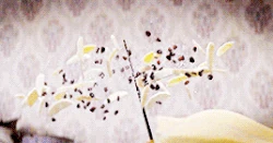  making dinner with household magic