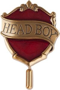 HeadBoyPin.jpg