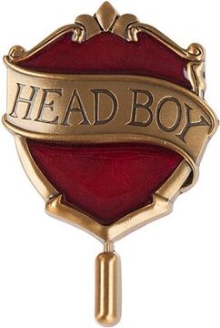 Head Boy or Girl badge | Harry Potter Wiki | Fandom