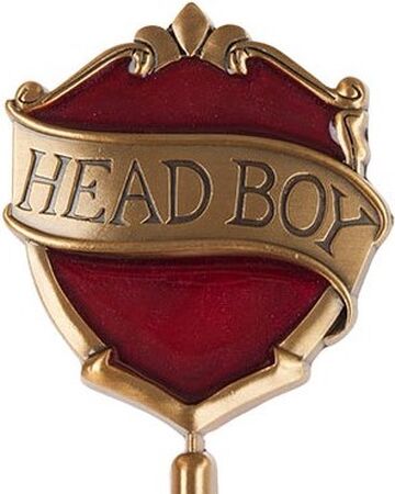 首席 Harry Potter Wiki Fandom 首席 Harry Potter Wiki Fandom