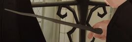 Kevin Farrell's wand MA