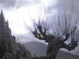 Hogwarts Whomping Willow