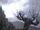 Hogwarts Whomping Willow