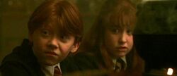 Ron Weasley and Susan Bones (1991) a