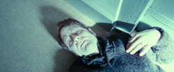 James Potter's dead body