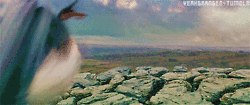 Tel-2.gif