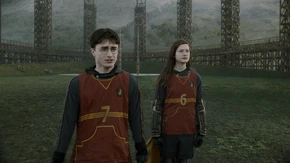 724603-1920x1080-desktop-full-hd-quidditch-wallpaper-photo