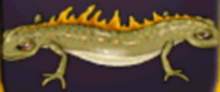Double-ended Newt.png