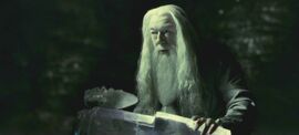 Halfblood-03621.jpg