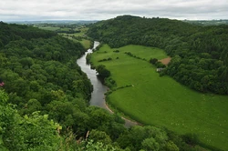 Fluss Wye im Forest of Dean