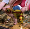 Frog-rabbit mutation