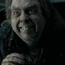 HP3PeterPettigrew
