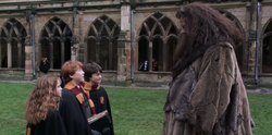 38095156 24allthreeandhagrid