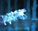 BlackStallion-patronus.jpg (33 KB) Black Stallion