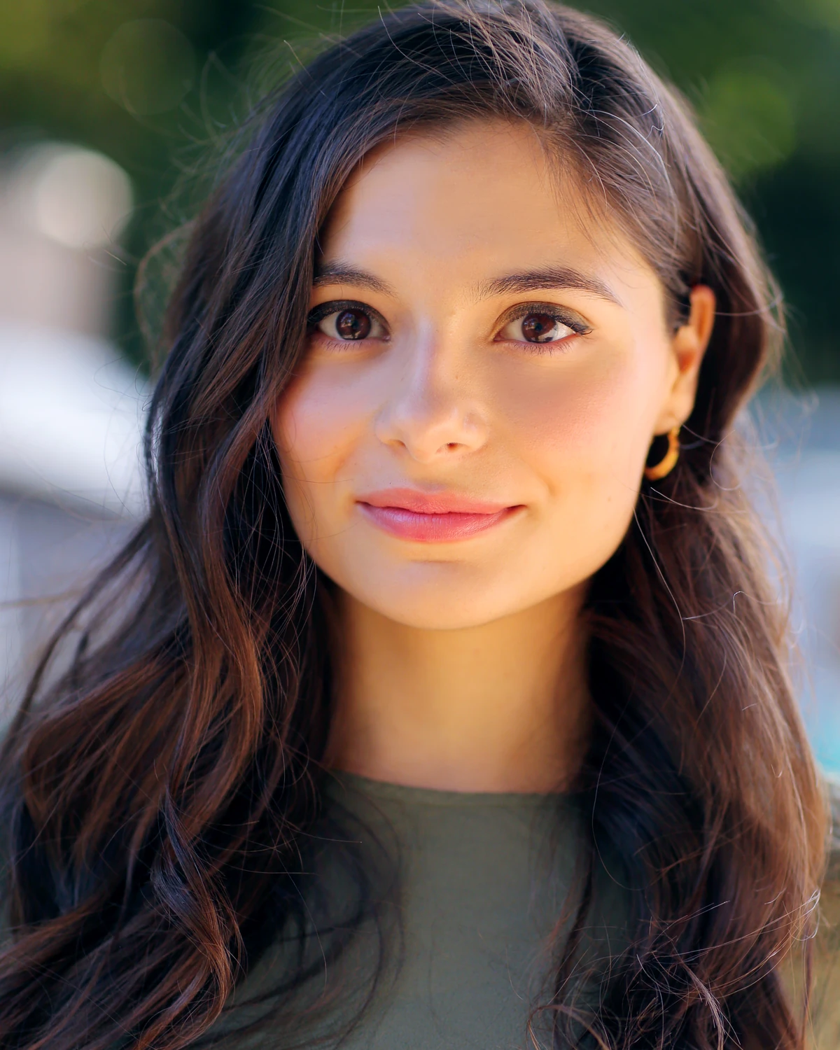 Leonidas Harry Potter Wiki Fandom