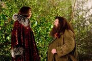 HP4 Olympe Maxime & Rubeus Hagrid