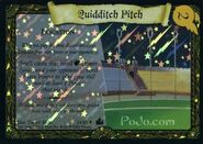 QuidditchPitchFoil-TCG