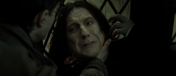 Snape's Death..