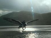 Buckbeak-flying-buckbeak-5377555-533-400.jpg