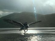 Buckbeak-flying-buckbeak-5377555-533-400