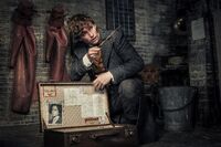 Fantastic-beasts-2-images-7