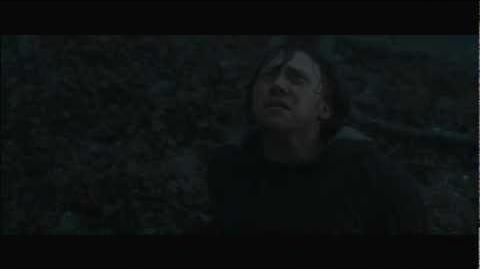 If Harry was a Horcrux, why no one around him felt the way Ron felt in TDH  when he was wearing the necklace? : r/harrypotter