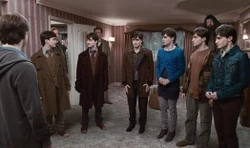 Siódemka Potterów