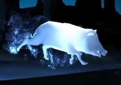 Wild Boar Patronus