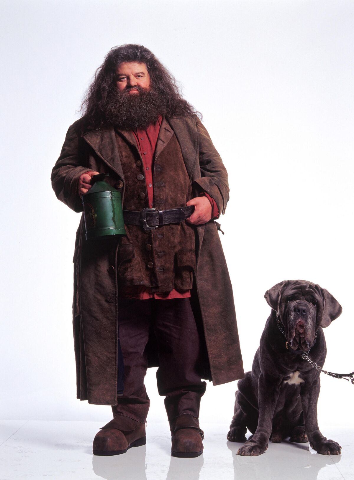 Cão de três cabeças, Harry Potter Wiki