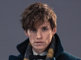 Newton Scamander