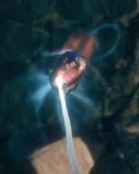 Pain extraction spell HL