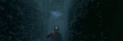 GOF Harry Periculum third task.gif
