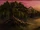 Saule cogneur