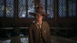 The Unidentified 19th-century Hogwarts student being sorted HL