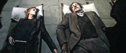 Tonks and Lupin dead (user image)