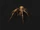 Ben-judd-venomous-biting.png