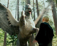 Buckbeak Malfoy