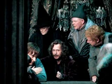 Order of the Phoenix meetings
