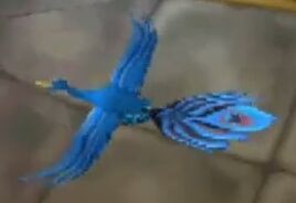Peacock