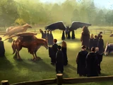 Hogwarts Hippogriff herd