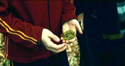 Gillyweed at Harry Potter's hand