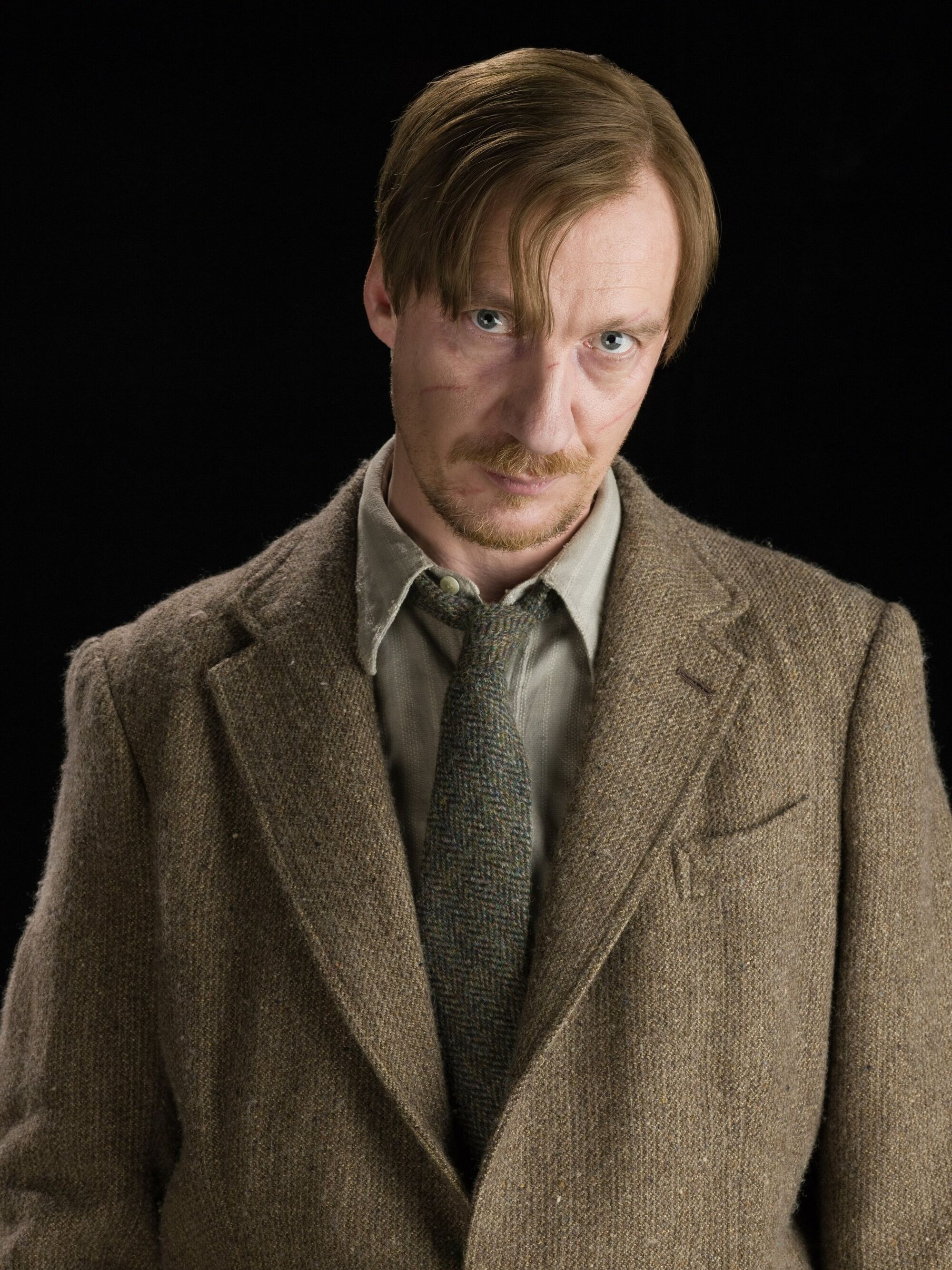 remus lupin harry potter fandom